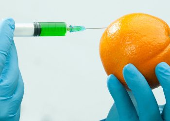 Organismi geneticamente modificati pro e contro