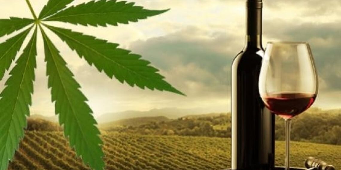 vino e cbd