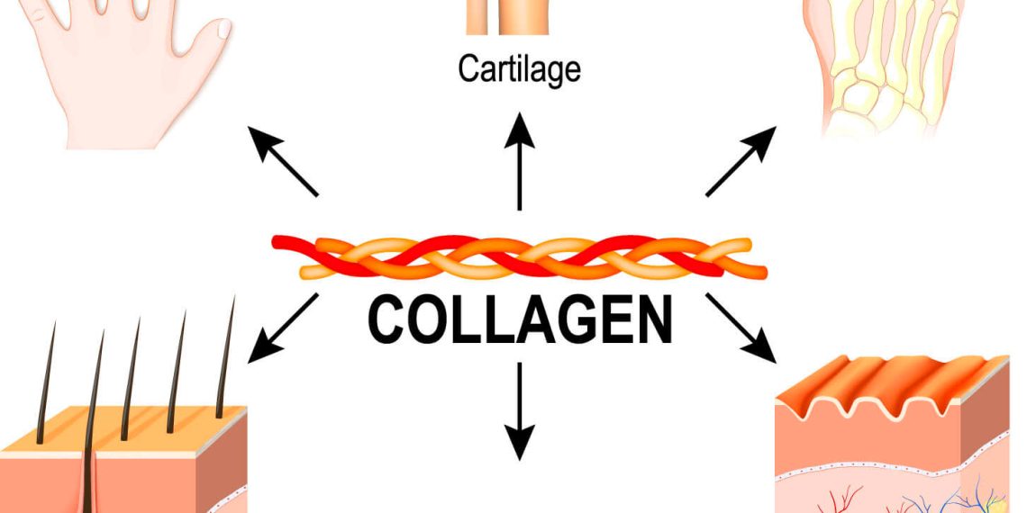 Integratori di collagene: tipologie a confronto