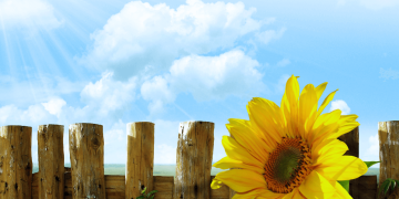 pali-di-castagno-per-costruire-una-recinzione